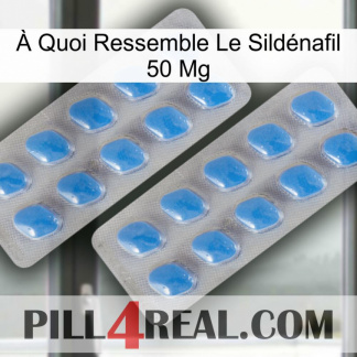 À Quoi Ressemble Le Sildénafil 50 Mg 23
